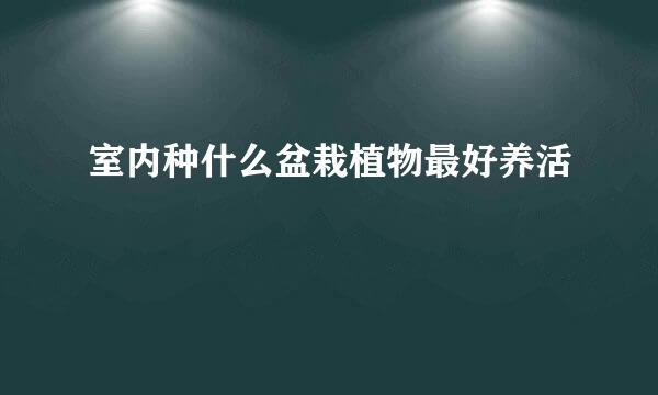 室内种什么盆栽植物最好养活