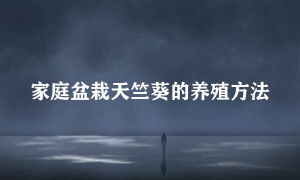 家庭盆栽天竺葵的养殖方法