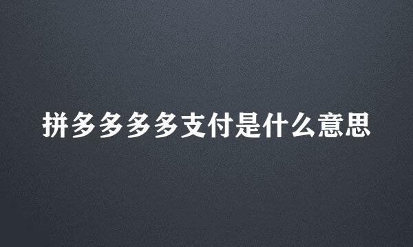 拼多多多多支付是什么意思