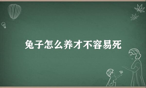 兔子怎么养才不容易死