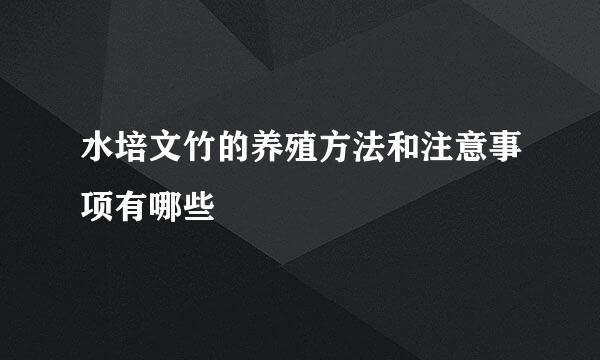 水培文竹的养殖方法和注意事项有哪些