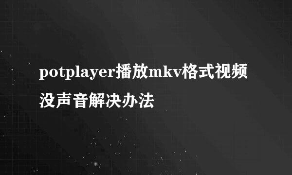 potplayer播放mkv格式视频没声音解决办法