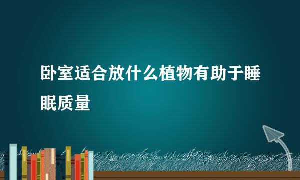 卧室适合放什么植物有助于睡眠质量