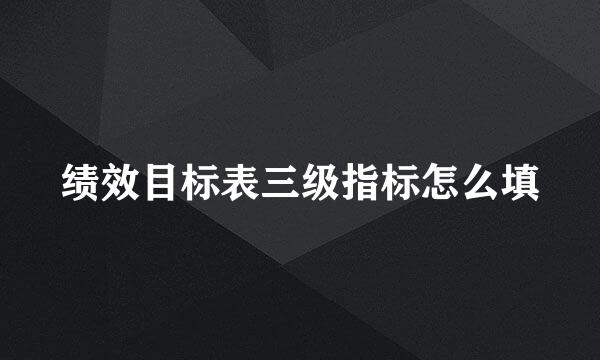 绩效目标表三级指标怎么填