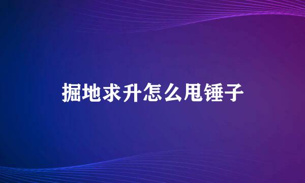 掘地求升怎么甩锤子