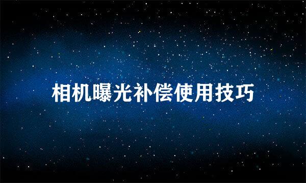 相机曝光补偿使用技巧