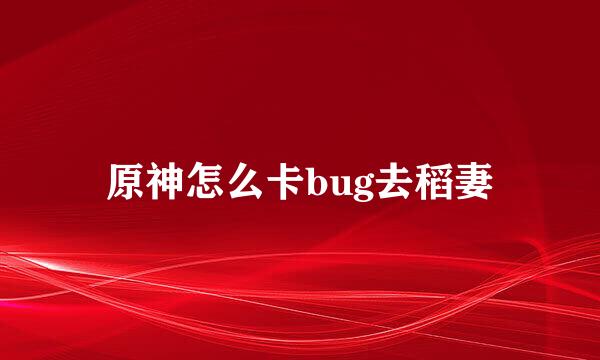 原神怎么卡bug去稻妻