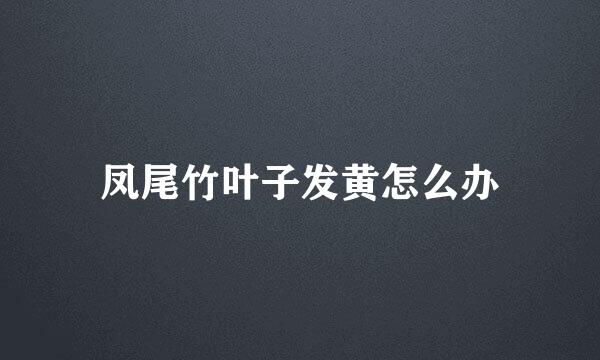 凤尾竹叶子发黄怎么办