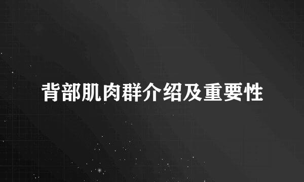 背部肌肉群介绍及重要性