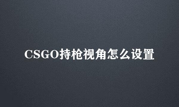 CSGO持枪视角怎么设置