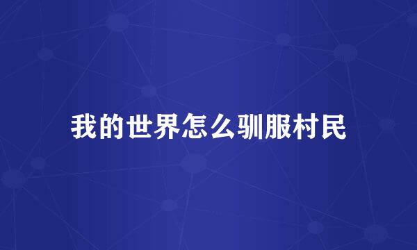 我的世界怎么驯服村民