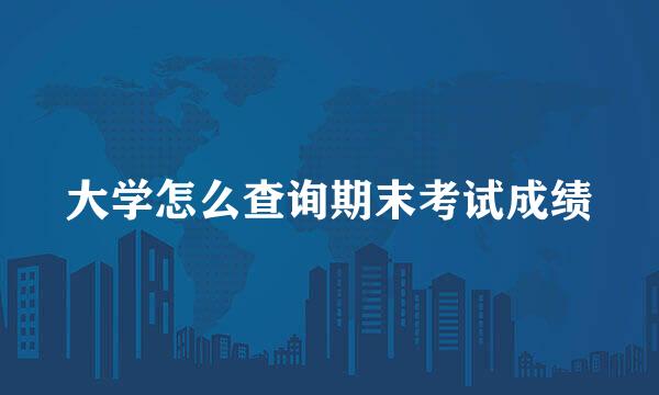 大学怎么查询期末考试成绩