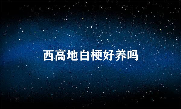 西高地白梗好养吗