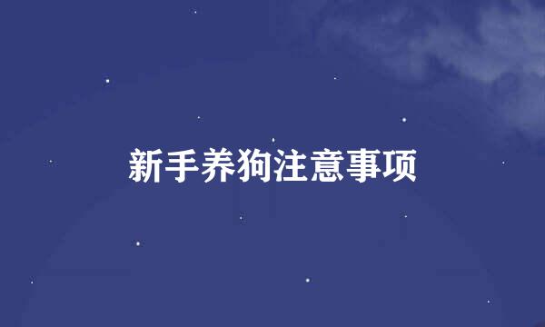 新手养狗注意事项