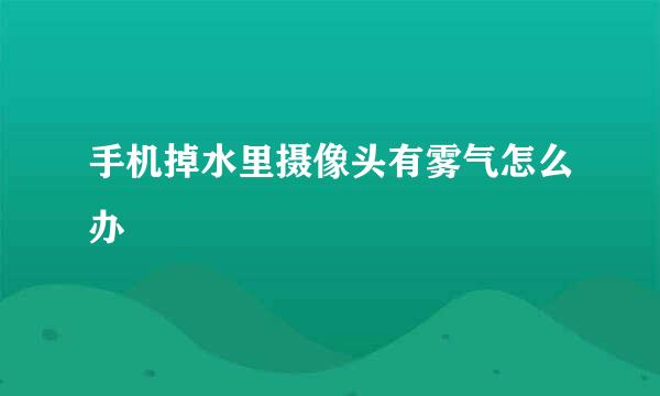 手机掉水里摄像头有雾气怎么办