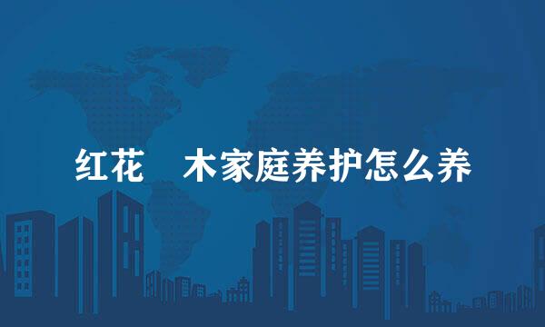 红花檵木家庭养护怎么养