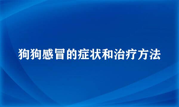狗狗感冒的症状和治疗方法
