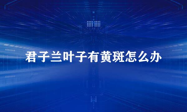 君子兰叶子有黄斑怎么办