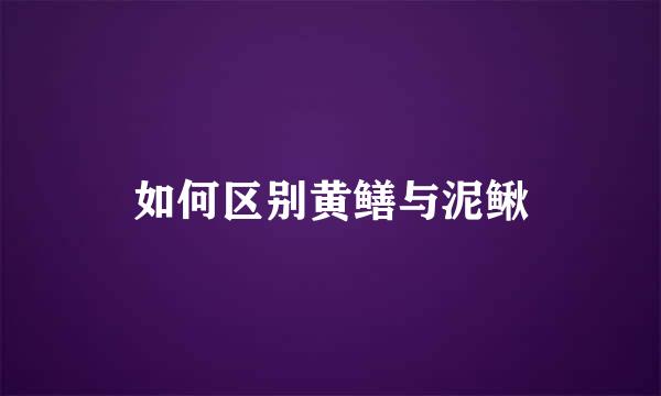 如何区别黄鳝与泥鳅