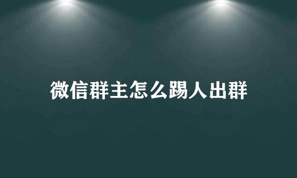 微信群主怎么踢人出群