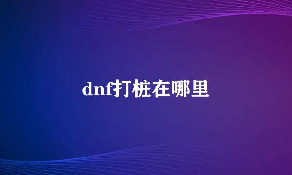dnf打桩在哪里