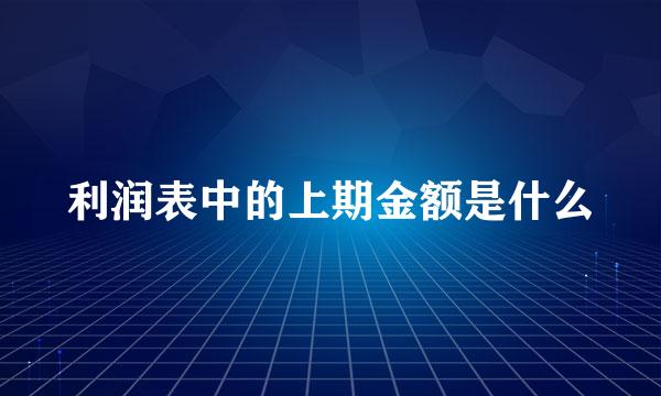 利润表中的上期金额是什么