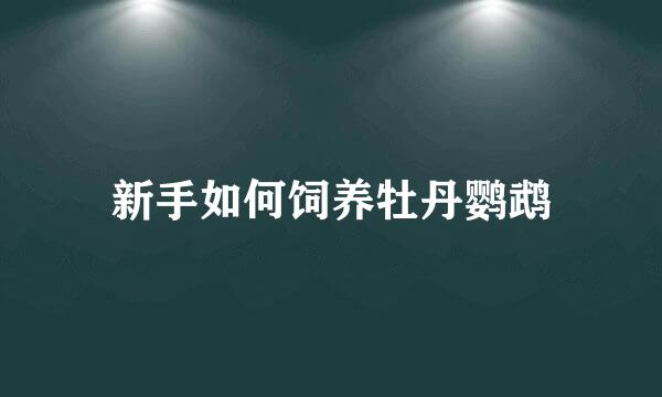 新手如何饲养牡丹鹦鹉