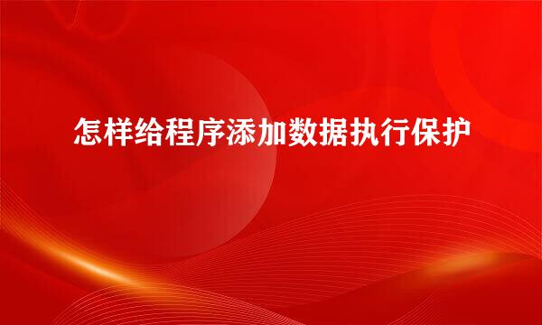 怎样给程序添加数据执行保护