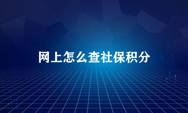 网上怎么查社保积分