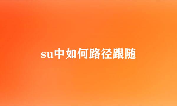 su中如何路径跟随