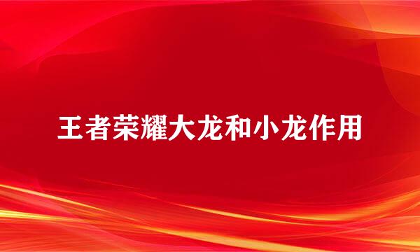 王者荣耀大龙和小龙作用