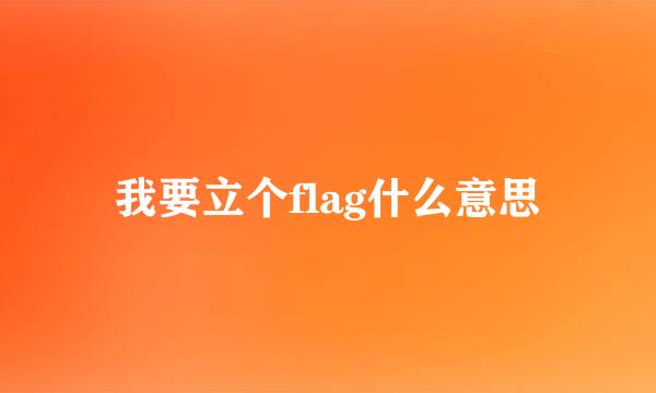 我要立个flag什么意思