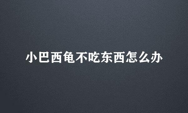 小巴西龟不吃东西怎么办