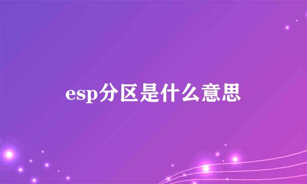 esp分区是什么意思