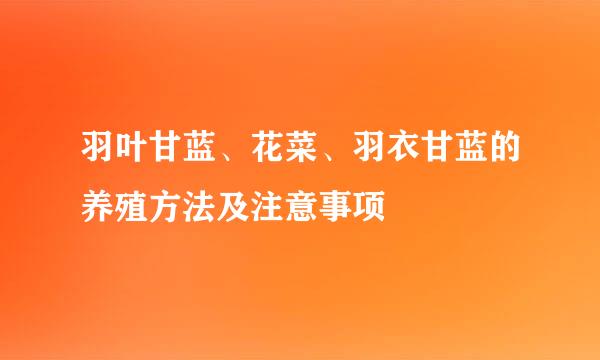 羽叶甘蓝、花菜、羽衣甘蓝的养殖方法及注意事项
