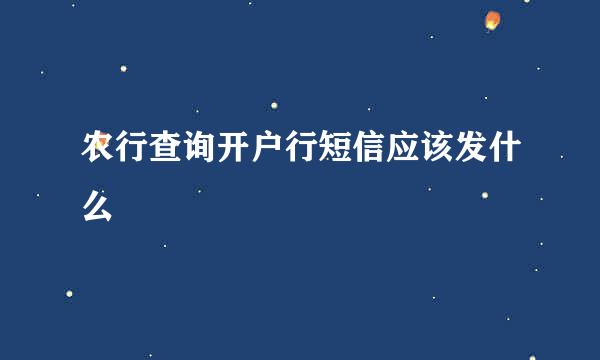 农行查询开户行短信应该发什么