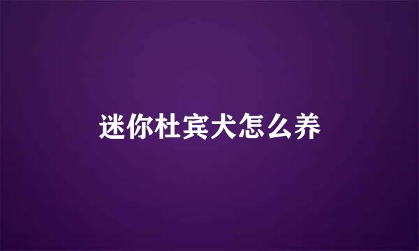 迷你杜宾犬怎么养