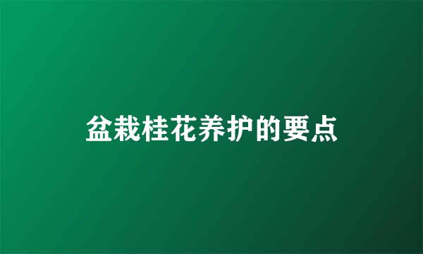 盆栽桂花养护的要点
