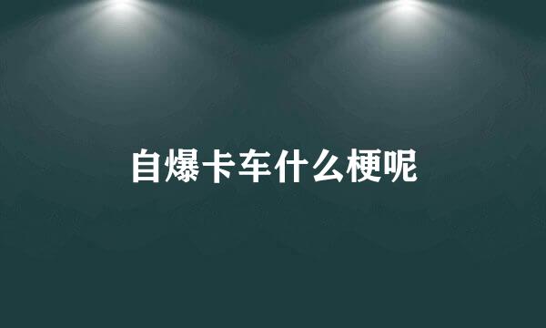 自爆卡车什么梗呢