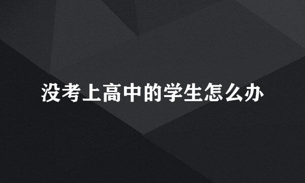没考上高中的学生怎么办