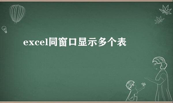 excel同窗口显示多个表