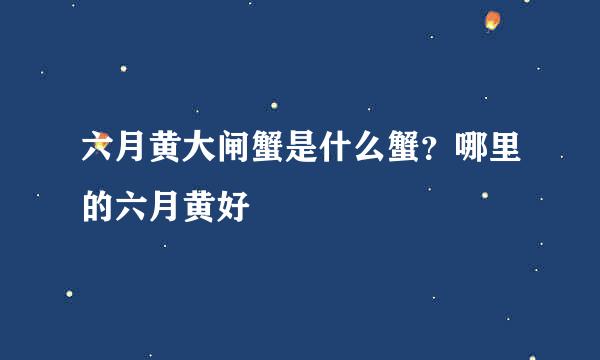 六月黄大闸蟹是什么蟹？哪里的六月黄好