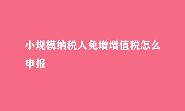 小规模纳税人免增增值税怎么申报