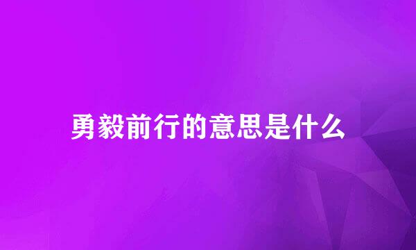 勇毅前行的意思是什么