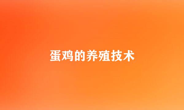 蛋鸡的养殖技术