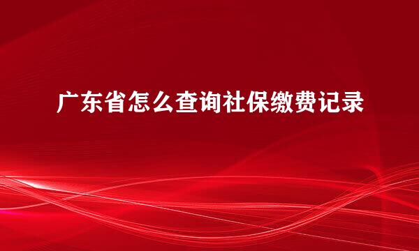 广东省怎么查询社保缴费记录