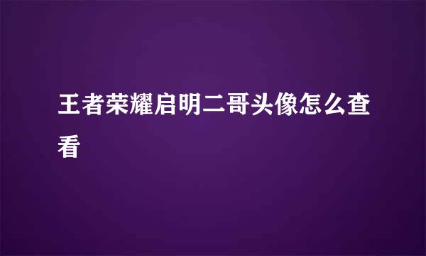 王者荣耀启明二哥头像怎么查看