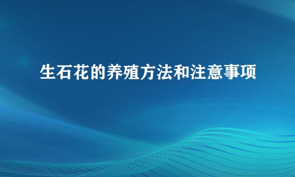 生石花的养殖方法和注意事项