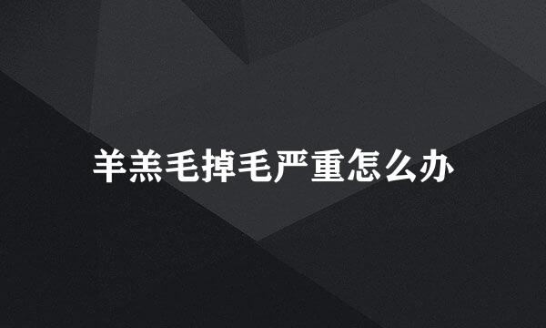 羊羔毛掉毛严重怎么办