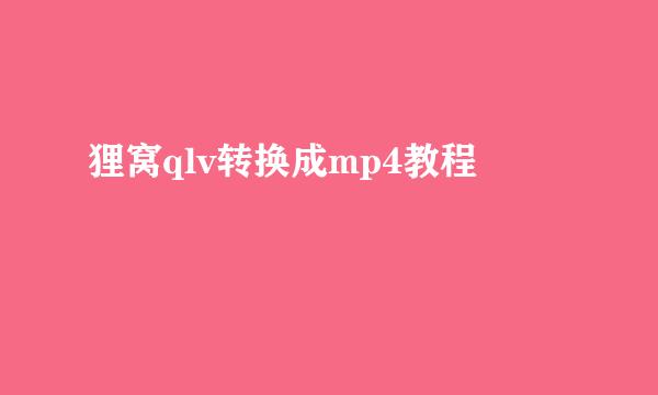狸窝qlv转换成mp4教程